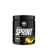 SPRINT (PRE-Run)