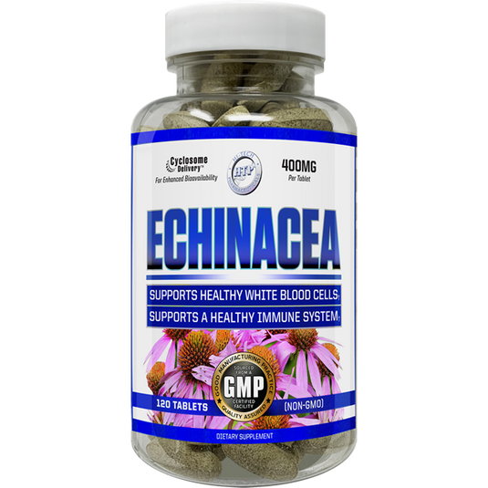 Echinacea