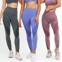High Waist Fitness Gym Legging Women