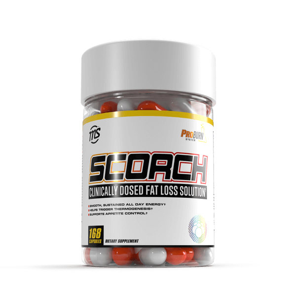 MAN Sports Scorch 168 Caps Fitpal Inc.